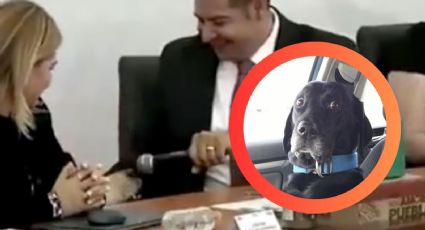 Gobernador de Puebla entrevista a 'Tomy', su perro, en rueda de prensa; esto 'respondió' la mascota | VIDEO