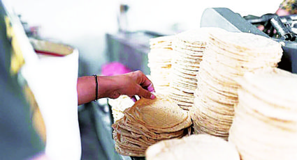 Amplían oferta en tortillerías; ahora ofrecen tortillas de harina