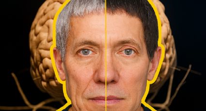 ¿Sabes qué edad tiene tu cerebro?, podría ser más viejo de lo que crees