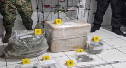 Operación Frontera Norte: incautan sustancias ilegales y animales exóticos en Coahuila