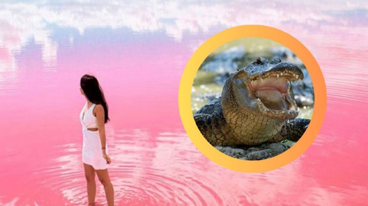 4 lugares en México para unas vacaciones inolvidables, según National Geographic