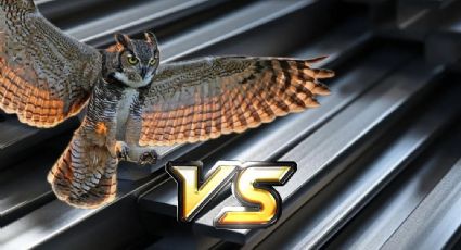 Tecolotes de los Dos Laredos: definido el rival en Playoffs; ¿cuándo y dónde empieza la serie?