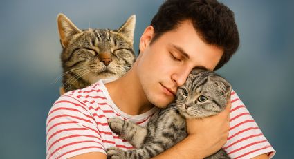 Día del gato: este felino no 'ama a cualquiera'; eligen a sus humanos basándose en estas dos cosas