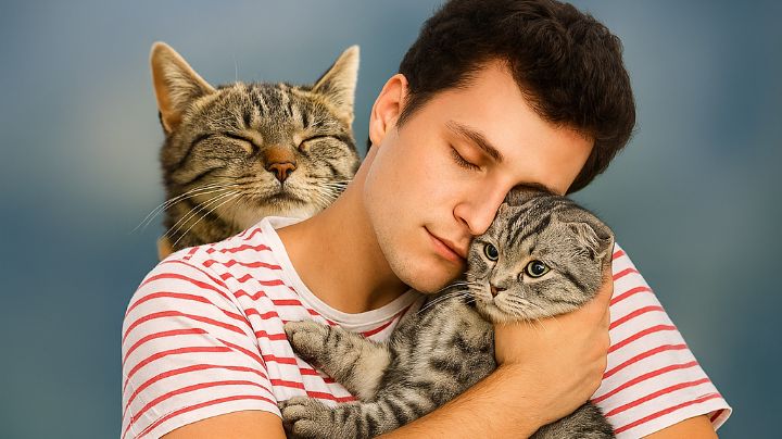 Día del gato: este felino no 'ama a cualquiera'; eligen a sus humanos basándose en estas dos cosas