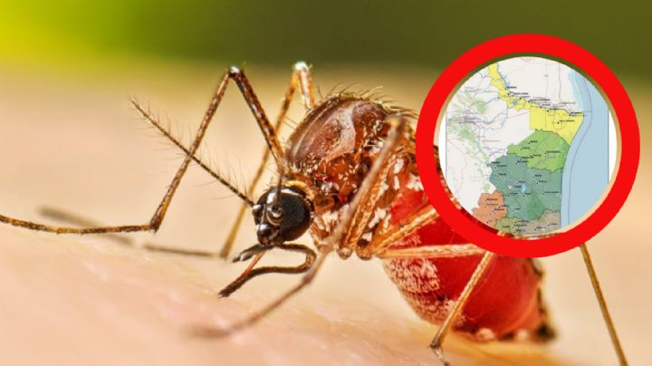 Dengue enciende las alarmas en Tamaulipas; estos son los municipios más afectados