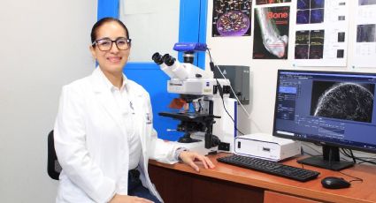 Investigadores de la UAT obtienen certificación nacional