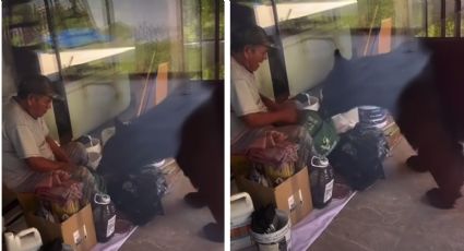 Enorme oso quiso robarle el 'lonche' a un albañil, pero el 'maistro' decide darle pelea | VIDEO