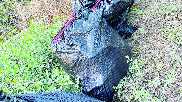 Juntan 2 mil 500 kilos de basura en El Laguito