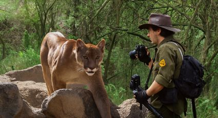 ¿Turismo en riesgo en Nuevo León? captan a puma y oso negro en famoso parque