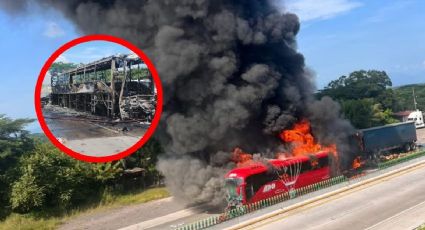 MOMENTO EXACTO en el que tráiler se impacta por detrás contra autobús; reportan 14 lesionados