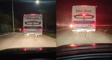 Transporte de personal en Nuevo León arrastra brutalmente a un perrito | VIDEO