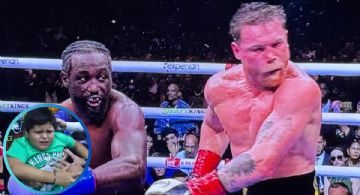 Memes noquean a ‘Canelo’ tras perder con Crawford; así reaccionaron las redes sociales