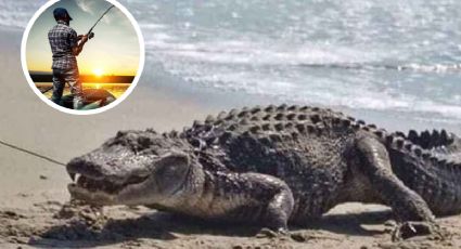 Captan a cocodrilo en playa de Altamira; pescador tuvo que huir del lugar I VIDEO
