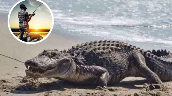 Captan a cocodrilo en playa de Altamira; pescador tuvo que huir del lugar I VIDEO