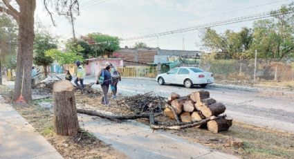 Refuerzan en Nuevo Laredo la protección ambiental