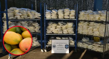 CBP decomisa más de 800 kilos de metanfetaminas en Laredo; iban ocultos en mango congelado