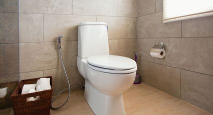 Laredo ofrece 100 dólares para reemplazar inodoros viejos por sanitarios ahorradores