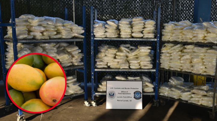 CBP decomisa más de 800 kilos de metanfetaminas en Laredo; iban ocultos en mango congelado