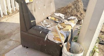 Ayudan a abuelitos de Nuevo Laredo a eliminar cacharros