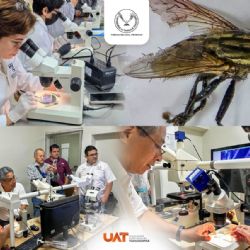 Colabora la UAT en medidas preventivas contra el gusano barrenador