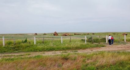 Regulariza ITAVU más de 800 colonias y asentamientos en Tamaulipas