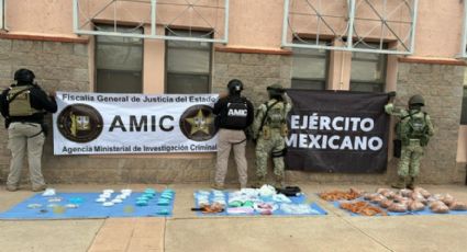 Gabinete de Seguridad catea casa y asegura diversos tipos de drogas en Sonora