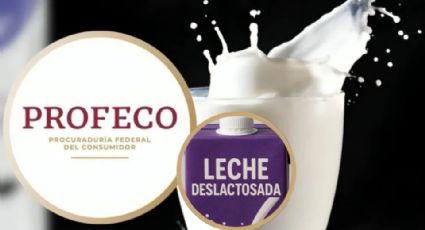 Profeco revela cuál es la mejor leche deslactosada; así puedes encontrar la que más te ayude