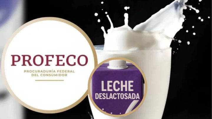 Profeco revela cuál es la mejor leche deslactosada; así puedes encontrar la que más te ayude