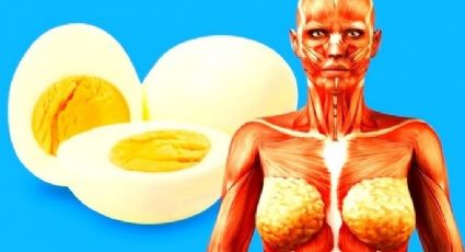 Esto le pasa a tu cuerpo si comes huevo todos los días, según la ciencia