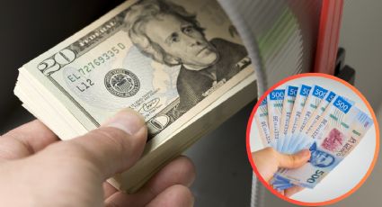 Más pesos por tus dólares; Profeco detalla la mejor opción para mandar dinero de EU a México