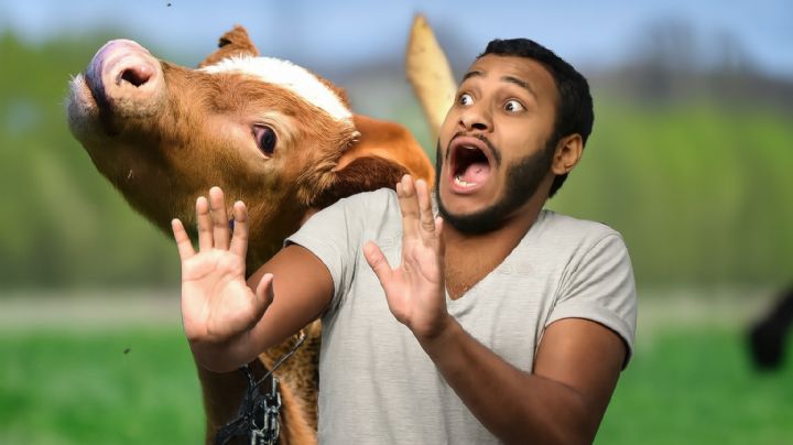 Gusano barrenador llega a la frontera, reportan el primer caso en NL y enciende alerta en EU