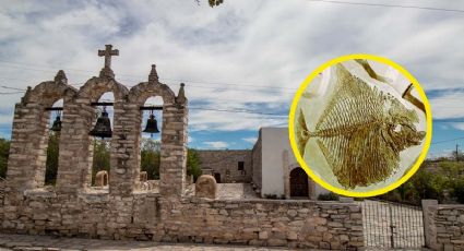 Pueblo de Nuevo León donde encuentras fósiles de hace más de 90 millones de años