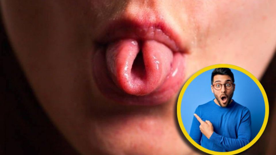 Durante décadas, la idea predominante, incluso en algunos libros de texto de biología, era que enrollar la lengua era un rasgo genético simple dominante