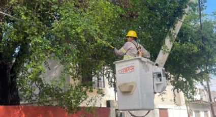 CFE trabaja para restablecer servicio en varios sectores de la ciudad; lluvias causaron daños