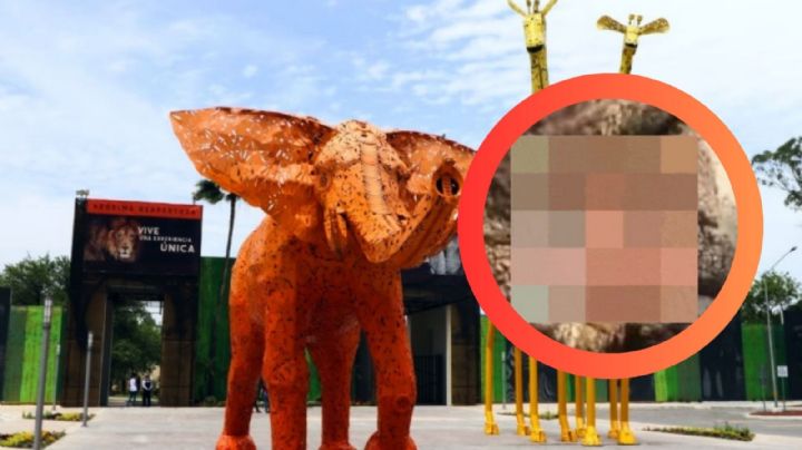 'Su condición es irreversible': Zoológico La Pastora responde al video que muestra a oso 'moribundo'