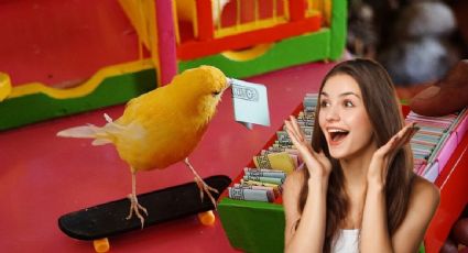 Pajarito de la suerte: la tradición mexicana que se mantiene en la feria de Expomex 2025