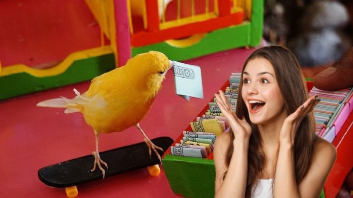 Pajarito de la suerte: la tradición mexicana que se mantiene en la feria de Expomex 2025