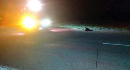 Siguen sin identificar a abuelito que murió atropellado en la autopista a Nuevo Laredo