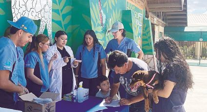 Nuevo Laredo: campaña de vacunación canina y felina alcanza un 60% de cobertura