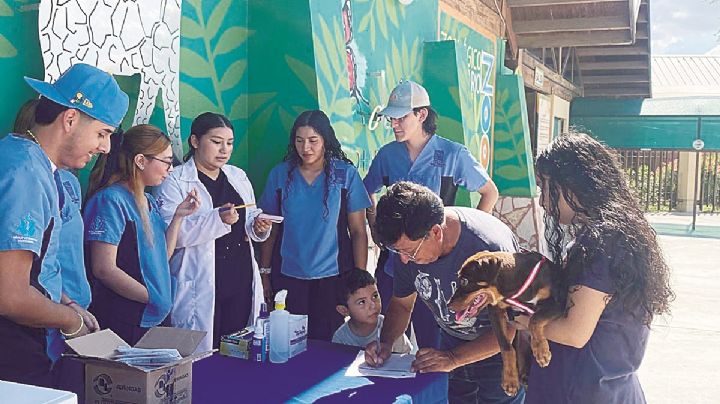 Nuevo Laredo: campaña de vacunación canina y felina alcanza un 60% de cobertura