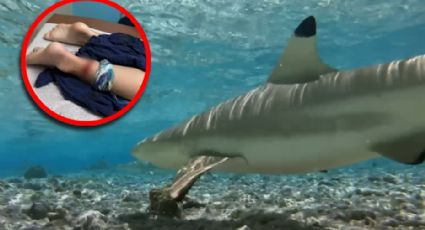Niña de 8 años sufre ataque de tiburón en playa de Texas | VIDEO