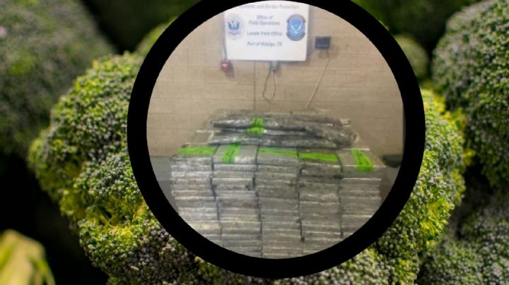 CBP decomisa embarque de brócoli; escondía 671 kilos de metanfetaminas valuados en 13 mdd