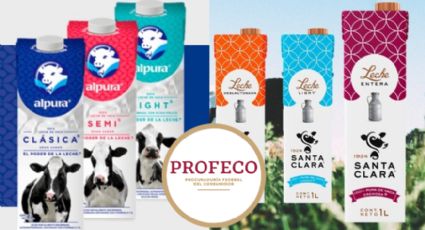 Profeco: Santa Clara o Alpura, ¿cuál es la mejor leche deslactosada?