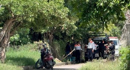 Dan salchichas envenenadas a perritos, mueren dos y un indigente termina intoxicado