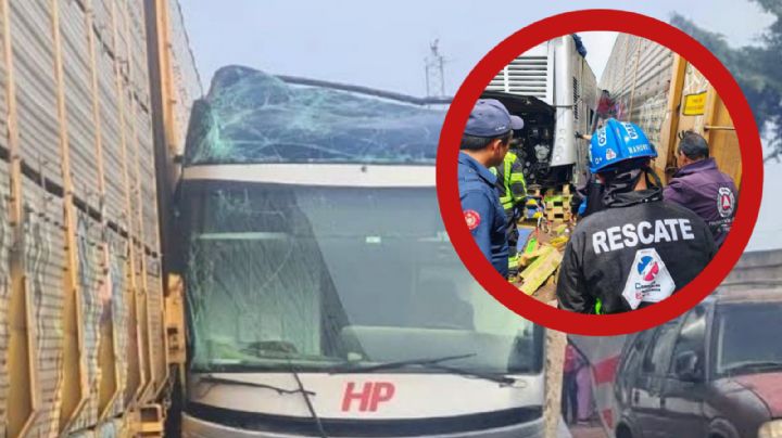 Tragedia de autobús embestido por tren sube a 10 víctimas mortales