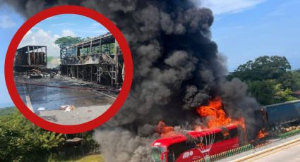 Autobús del ADO y tráiler se incendian tras chocar brutalmente en autopista; hay 1 muerto| VIDEO