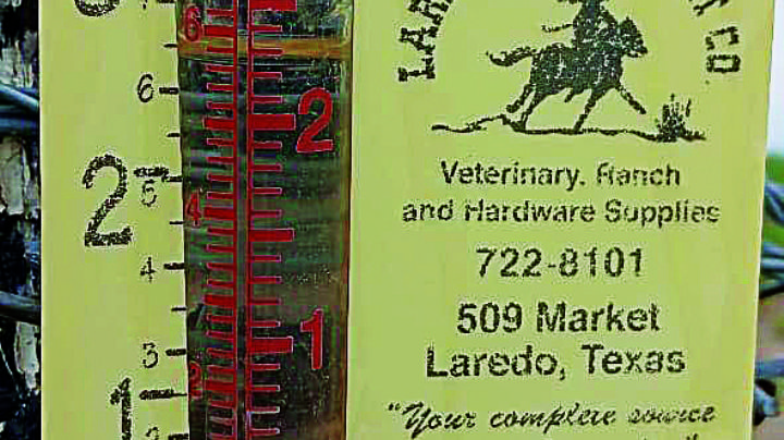 Recibe el campo 54 mm de lluvias