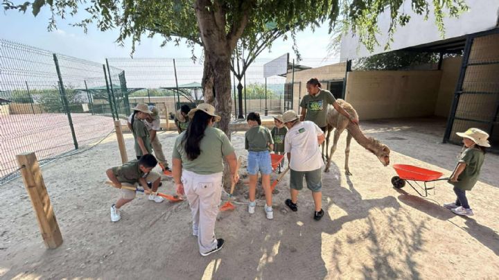 Niños de Zoo Kids disfrutan de un fin de semana de aprendizaje en el zoológico de Nuevo Laredo