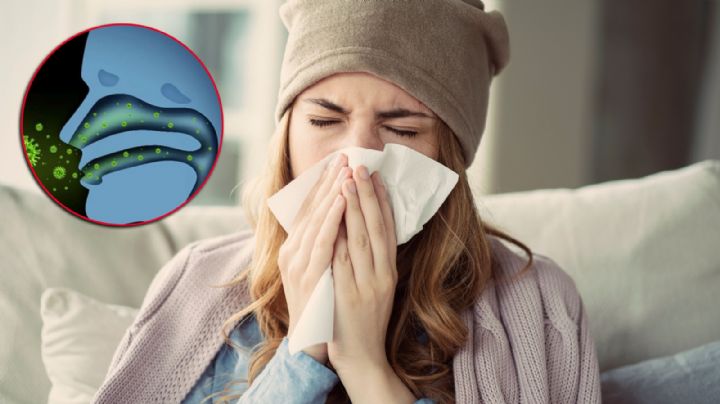 Gripe en invierno: 6 medidas para prevenir el contagio y estar sanos
