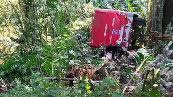 Autobús con estudiantes cae a barranco en Veracruz; hay 30 heridos en zona montañosa | VIDEO